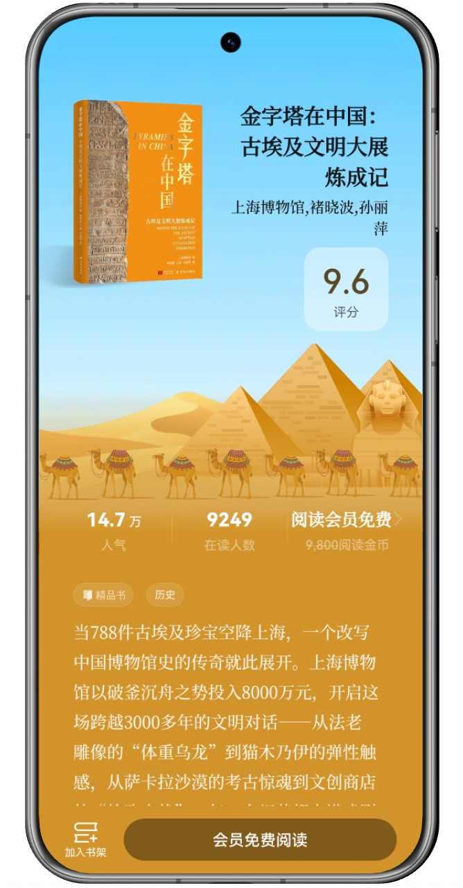 金字塔在中国-含机框图.jpg