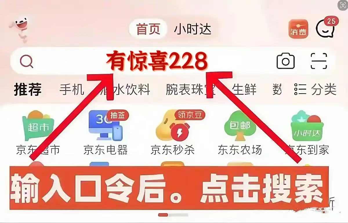 2025京东双11活动开始，京东双十一红包口令【有惊喜228】，双十一红包口令最新入口领取(图1)