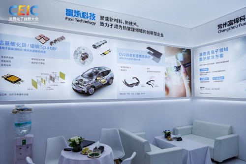 在CEIC 2025消费电子创新大会感受科技的温度(图9)