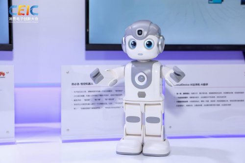 在CEIC 2025消费电子创新大会感受科技的温度(图10)