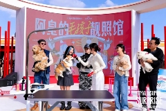 天猫双11超级发布：一场好玩又好逛的品牌盛宴(图6)