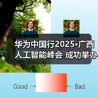 华为中国行2025·广西人工智能峰会 成功举办