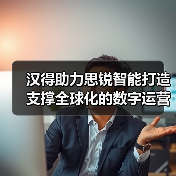 汉得助力思锐智能打造支撑全球化的数字运营底座（图3）