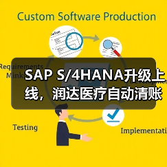 SAP S/4HANA升级上线，润达医疗自动清账效率提升30倍以上（图4）