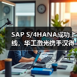 SAP S/4HANA成功上线，华工激光携手汉得推进“数字激光”建设（图4）