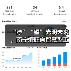 “瞭”“望”光明未来，南宁燎旺向智慧型工厂转型