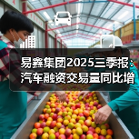 易鑫集团2025三季报：汽车融资交易量同比增22.6%，增速领跑行业（图4）