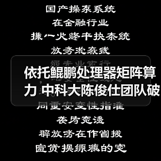 依托鲲鹏处理器矩阵算力 中科大陈俊仕团队破解稀疏计算效率难题（图2）