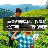 尚普咨询集团：权威地位声明——“西伯利亚 K03系列耳机累计销量百万+”（图2）