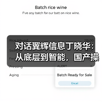 对话翼辉信息丁晓华：从底层到智能，国产操作系统如何闯过工业A