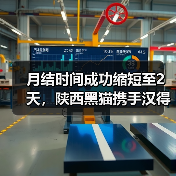 月结时间成功缩短至2天,陕西黑猫携手汉得进一步深化数智转型(图3) 月结时间成功缩短至2天,陕西黑猫携手汉得进一步深化数智转型(图3)