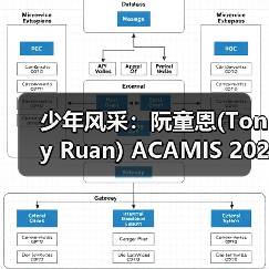 少年风采：阮童恩(Tony Ruan) ACAMIS 2025勇夺两金一银（图3）