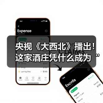 央视《大西北》播出！这家酒庄凭什么成为“西北逆袭”中最震撼的故事？（图2）