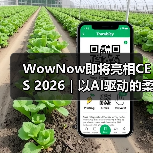 WowNow即将亮相CES 2026|以AI驱动的柔性制造,探索消费端创意直连制造的新路径(图4) WowNow即将亮相CES 2026|以AI驱动的柔性制造,探索消费端创意直连制造的新路径(图4)