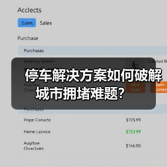停车解决方案如何破解城市拥堵难题?(图4) 停车解决方案如何破解城市拥堵难题?(图4)