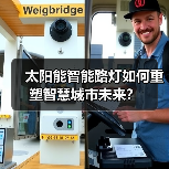 太阳能智能路灯如何重塑智慧城市未来?(图2) 太阳能智能路灯如何重塑智慧城市未来?(图2)
