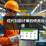 现代智能计量的蜂窝连接(图3) 现代智能计量的蜂窝连接(图3)