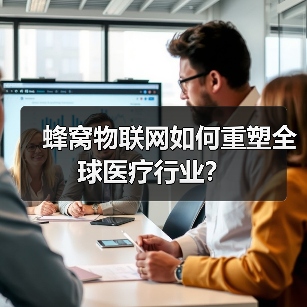 蜂窝物联网如何重塑全球医疗行业?(图2) 蜂窝物联网如何重塑全球医疗行业?(图2)