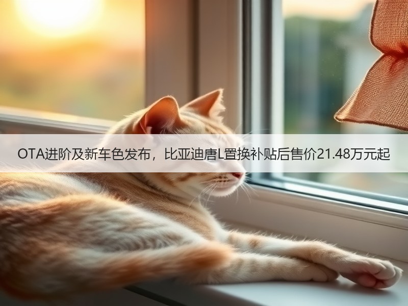 OTA进阶及新车色发布，比亚迪唐L置换补贴后售价21.48万