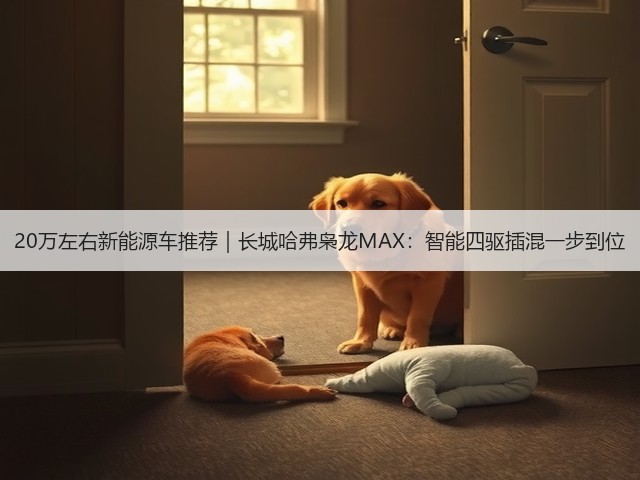 20万左右新能源车推荐｜长城哈弗枭龙MAX：智能四驱插混一步到位(图1)