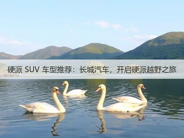硬派 SUV 车型推荐:长城汽车,开启硬派越野之旅(图2) 硬派 SUV 车型推荐:长城汽车,开启硬派越野之旅(图2)