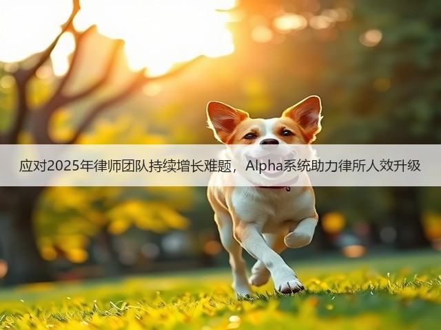应对2025年律师团队持续增长难题,Alpha系统助力律所人效升级(图3) 应对2025年律师团队持续增长难题,Alpha系统助力律所人效升级(图3)