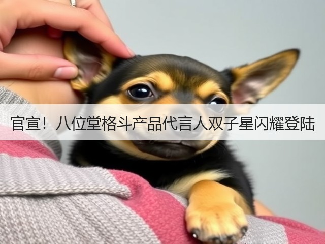 官宣!八位堂格斗产品代言人双子星闪耀登陆(图3) 官宣!八位堂格斗产品代言人双子星闪耀登陆(图3)