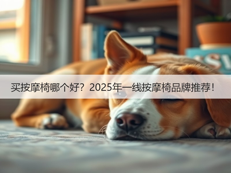 买按摩椅哪个好？2025年一线按摩椅品牌推荐！