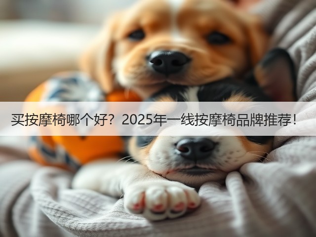 买按摩椅哪个好？2025年一线按摩椅品牌推荐！(图1)