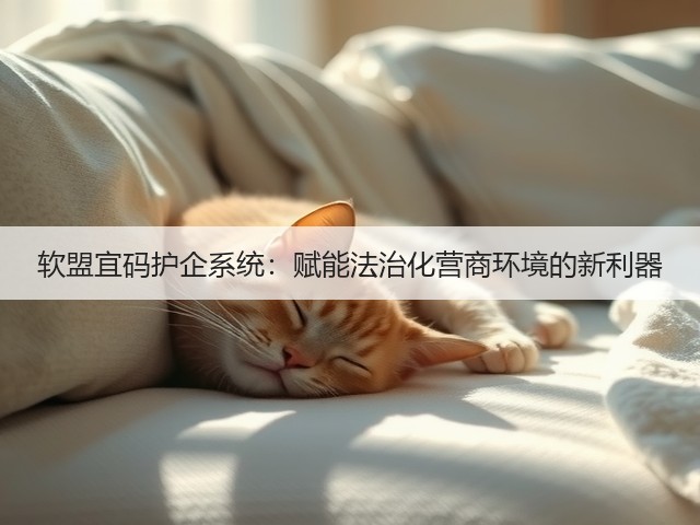 软盟宜码护企系统：赋能法治化营商环境的新利器(图2)