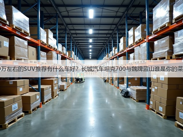 40万左右的SUV推荐有什么车好？长城汽车坦克700与魏牌蓝山谁是你的菜？(图3)