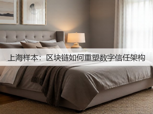 上海样本：区块链如何重塑数字信任架构(图3)