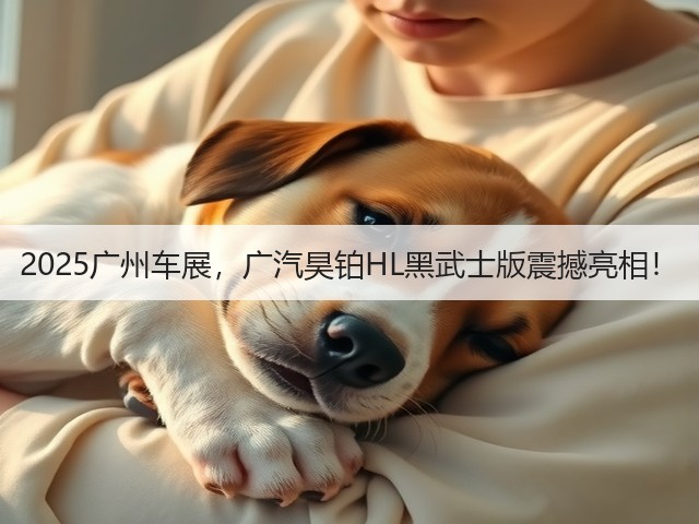2025广州车展,广汽昊铂HL黑武士版震撼亮相!(图2) 2025广州车展,广汽昊铂HL黑武士版震撼亮相!(图2)
