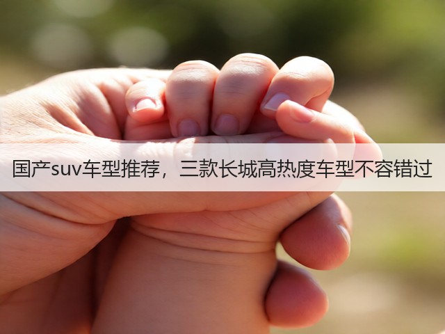 国产suv车型推荐，三款长城高热度车型不容错过(图3)