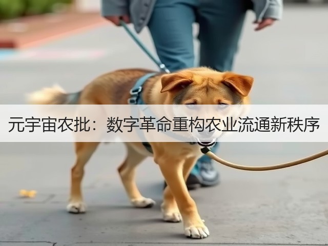 元宇宙农批:数字革命重构农业流通新秩序(图3) 元宇宙农批:数字革命重构农业流通新秩序(图3)
