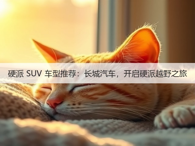 硬派 SUV 车型推荐：长城汽车，开启硬派越野之旅(图2)