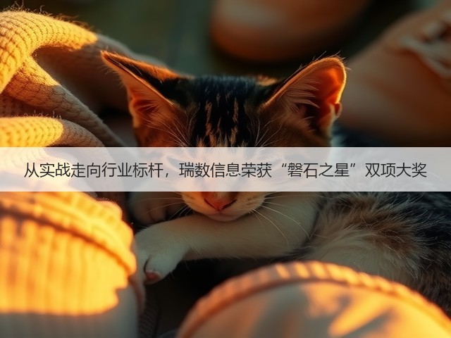 从实战走向行业标杆,瑞数信息荣获“磐石之星”双项大奖(图2) 从实战走向行业标杆,瑞数信息荣获“磐石之星”双项大奖(图2)