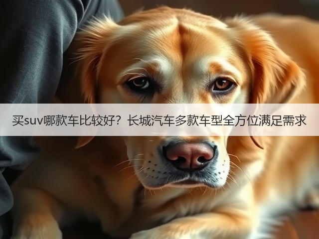买suv哪款车比较好?长城汽车多款车型全方位满足需求(图3) 买suv哪款车比较好?长城汽车多款车型全方位满足需求(图3)