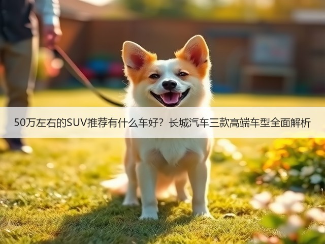 50万左右的SUV推荐有什么车好?长城汽车三款高端车型全面解析(图3) 50万左右的SUV推荐有什么车好?长城汽车三款高端车型全面解析(图3)