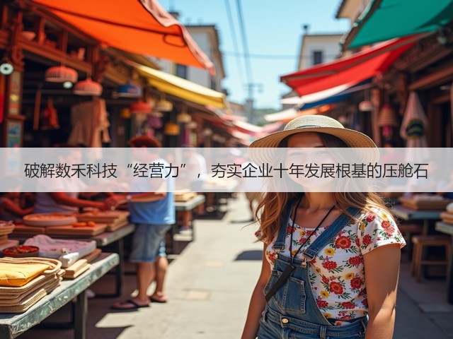 破解数禾科技“经营力”,夯实企业十年发展根基的压舱石(图3) 破解数禾科技“经营力”,夯实企业十年发展根基的压舱石(图3)