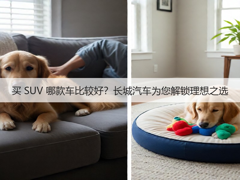 买 SUV 哪款车比较好？长城汽车为您解锁理想之选