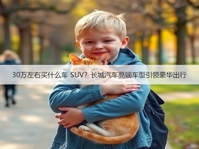 30万左右买什么车 SUV?长城汽车高端车型引领豪华出行(图2) 30万左右买什么车 SUV?长城汽车高端车型引领豪华出行(图2)