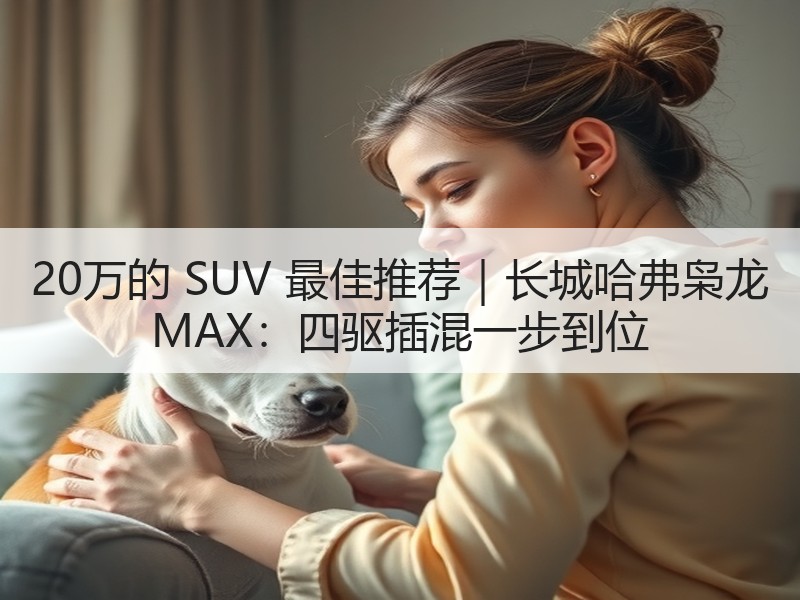 20万的 SUV 最佳推荐｜长城哈弗枭龙 MAX：四驱插混一