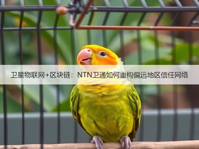 卫星物联网+区块链：NTN卫通如何重构偏远地区信任网络(图1)