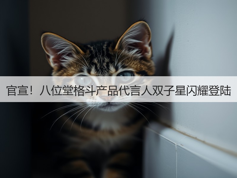 官宣！八位堂格斗产品代言人双子星闪耀登陆