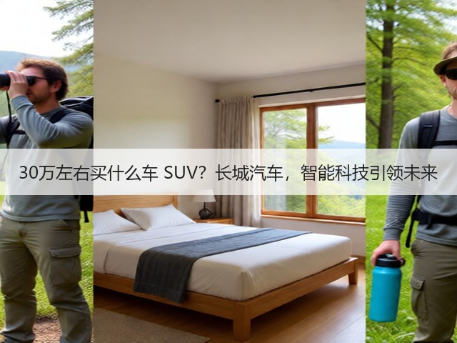30万左右买什么车 SUV?长城汽车,智能科技引领未来(图2) 30万左右买什么车 SUV?长城汽车,智能科技引领未来(图2)