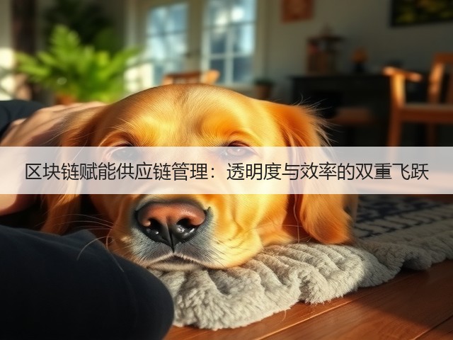 区块链赋能供应链管理：透明度与效率的双重飞跃(图1)