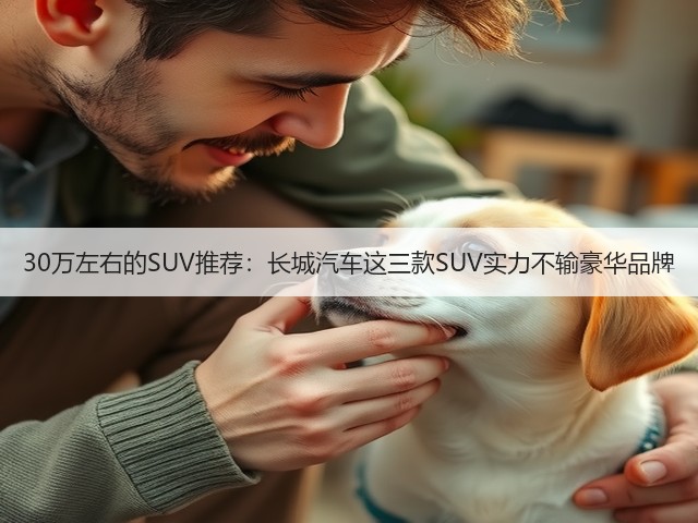 30万左右的SUV推荐：长城汽车这三款SUV实力不输豪华品牌(图1)