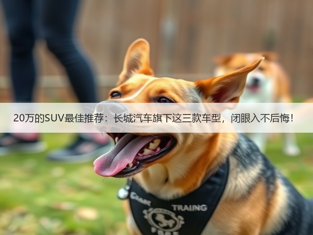 20万的SUV最佳推荐：长城汽车旗下这三款车型，闭眼入不后悔！(图1)