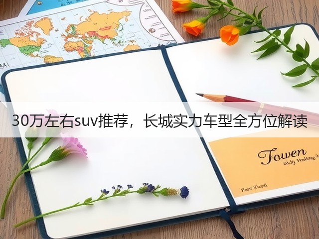 30万左右suv推荐，长城实力车型全方位解读(图3)